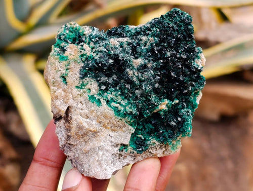 Natural Crystalline Malachite Specimens x 6 From Tenke Fungurume, Congo