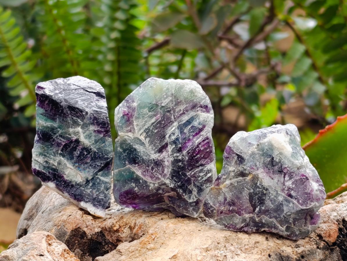 Natural Watermelon Fluorite Cobbed Specimens x 35 From Uis, Namibia