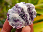 Natural Watermelon Fluorite Cobbed Specimens x 35 From Uis, Namibia