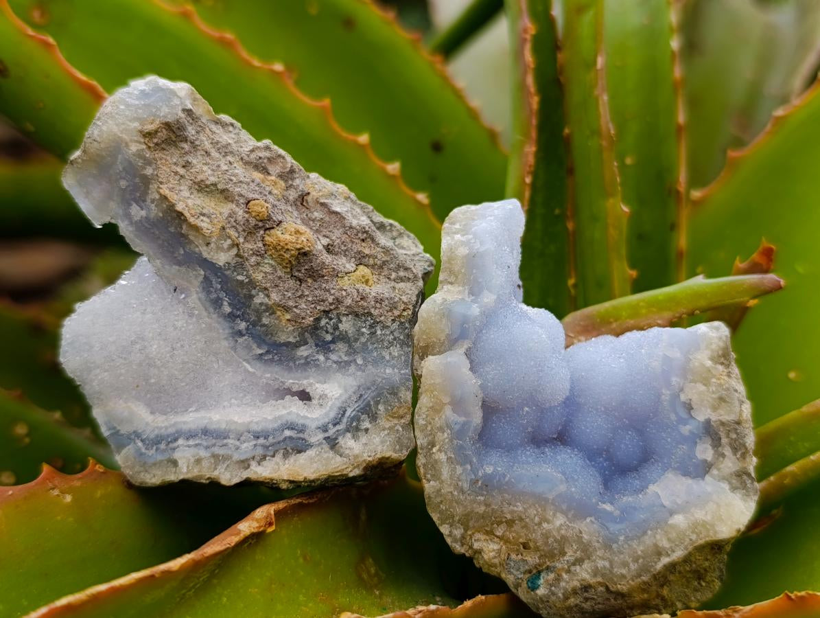 Natural Blue Lace Agate Geodes and Clusters Specimens x 24 From Nsanje, Malawi - Toprock Gemstones and Minerals 