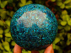Hand Made Conglomerate Chrysocolla Spheres With Azurite And Malachite x 2 From Congo