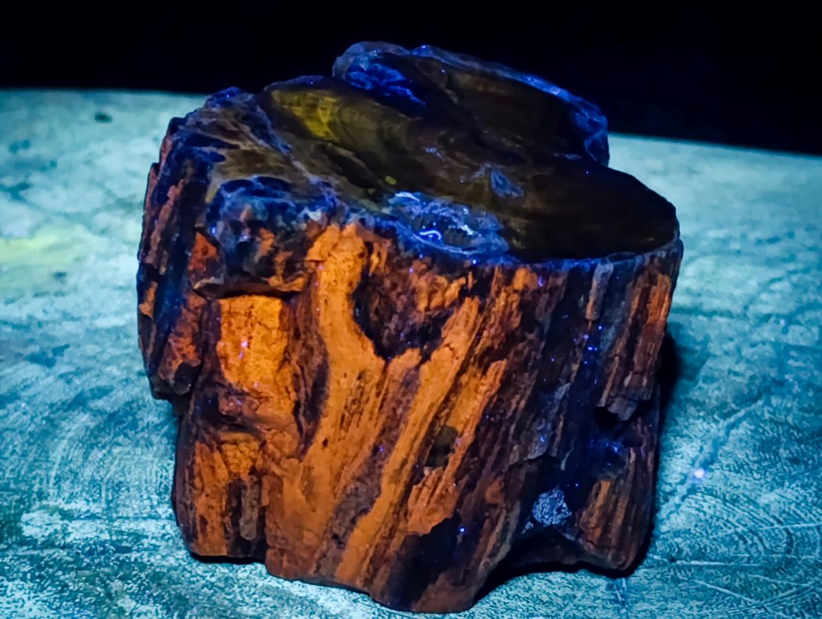 Polished On One Side Dadoxylon Petrified Wood Tree Branches x 3 From Gokwe, Zimbabwe