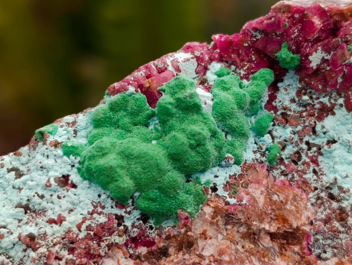 Natural Salrose Cobaltion Dolomite with Malachite and Chrysocolla Specimens x 6 From Kakanda, Congo