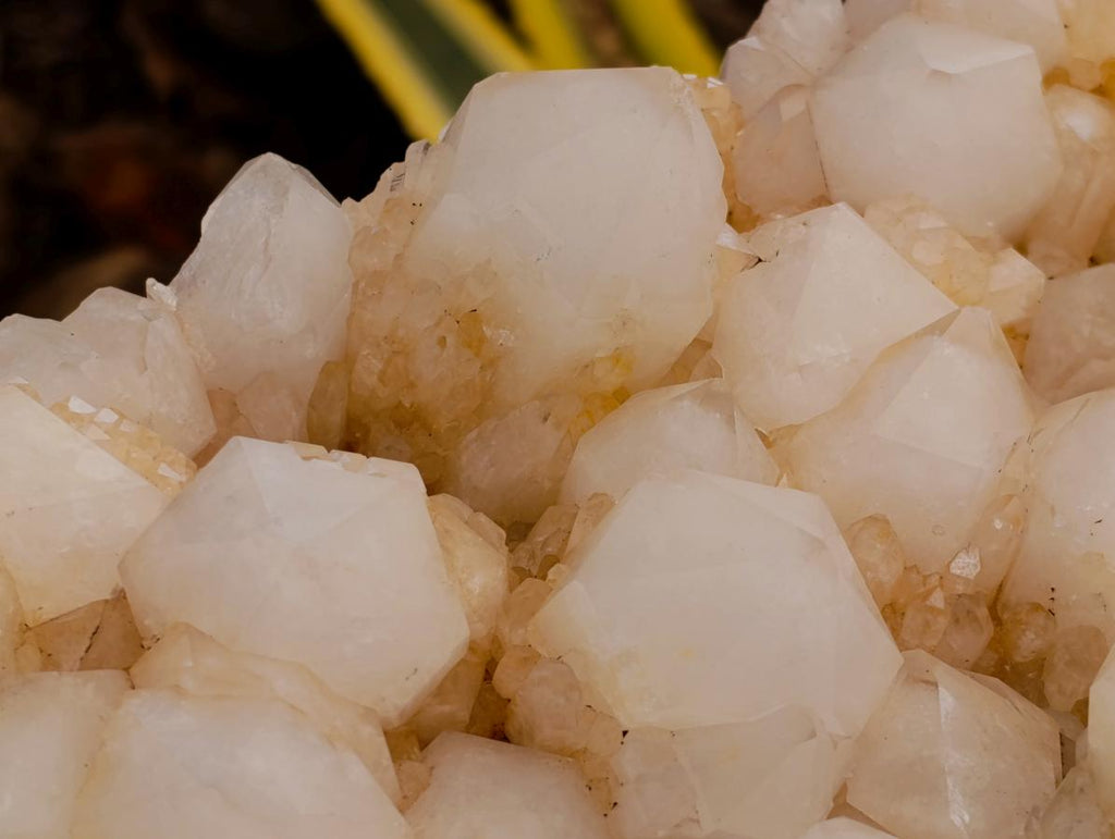 Natural XL White Pineapple Quartz Cluster x 1 From Antsirabe, Madagascar - Toprock Gemstones and Minerals 