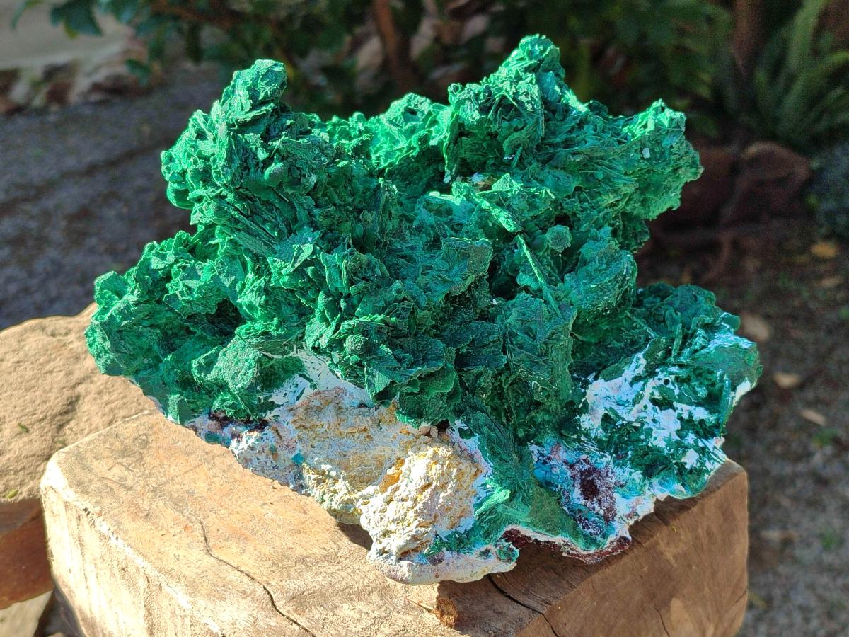 Natural XL Rare Malachite Pseudomorph Specimen x 1 From Kolwezi, Congo