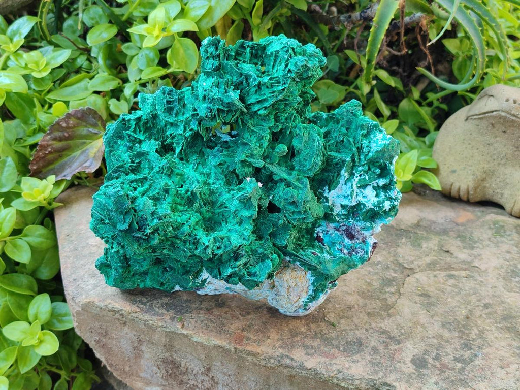 Natural XL Rare Malachite Pseudomorph Specimen x 1 From Kolwezi, Congo
