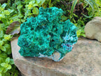 Natural XL Rare Malachite Pseudomorph Specimen x 1 From Kolwezi, Congo