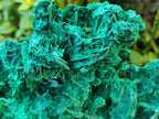 Natural XL Rare Malachite Pseudomorph Specimen x 1 From Kolwezi, Congo