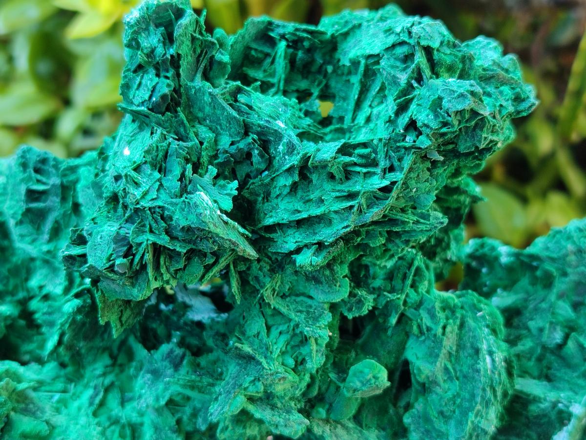 Natural XL Rare Malachite Pseudomorph Specimen x 1 From Kolwezi, Congo