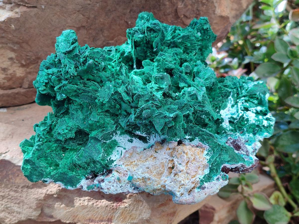 Natural XL Rare Malachite Pseudomorph Specimen x 1 From Kolwezi, Congo