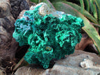 Natural XL Rare Malachite Pseudomorph Specimen x 1 From Kolwezi, Congo