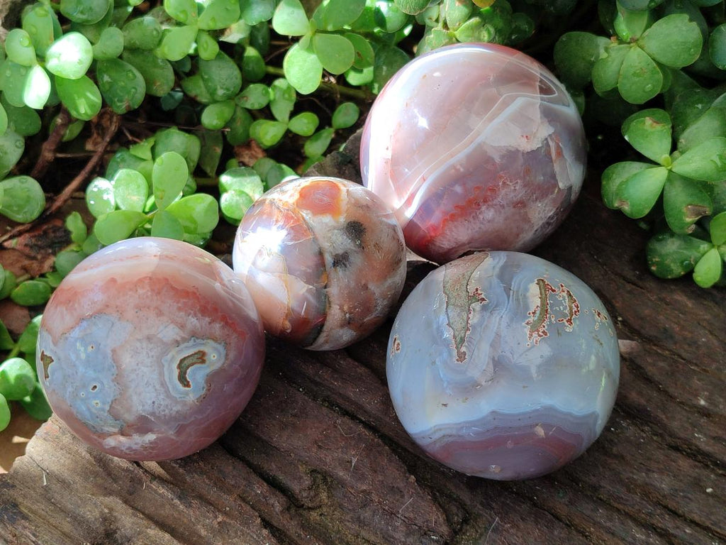 Polished Red Shashe River Banded Agate Spheres x 4 From Shashe River, Zimbabwe