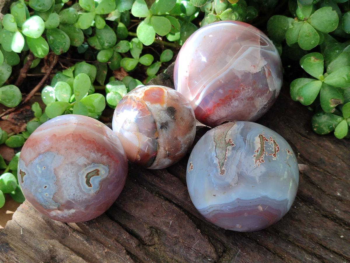 Polished Red Shashe River Banded Agate Spheres x 4 From Shashe River, Zimbabwe