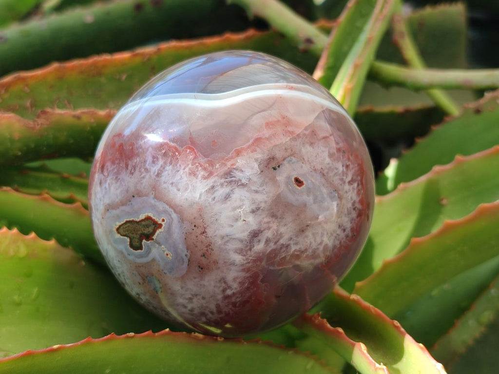 Polished Red Shashe River Banded Agate Spheres x 4 From Shashe River, Zimbabwe