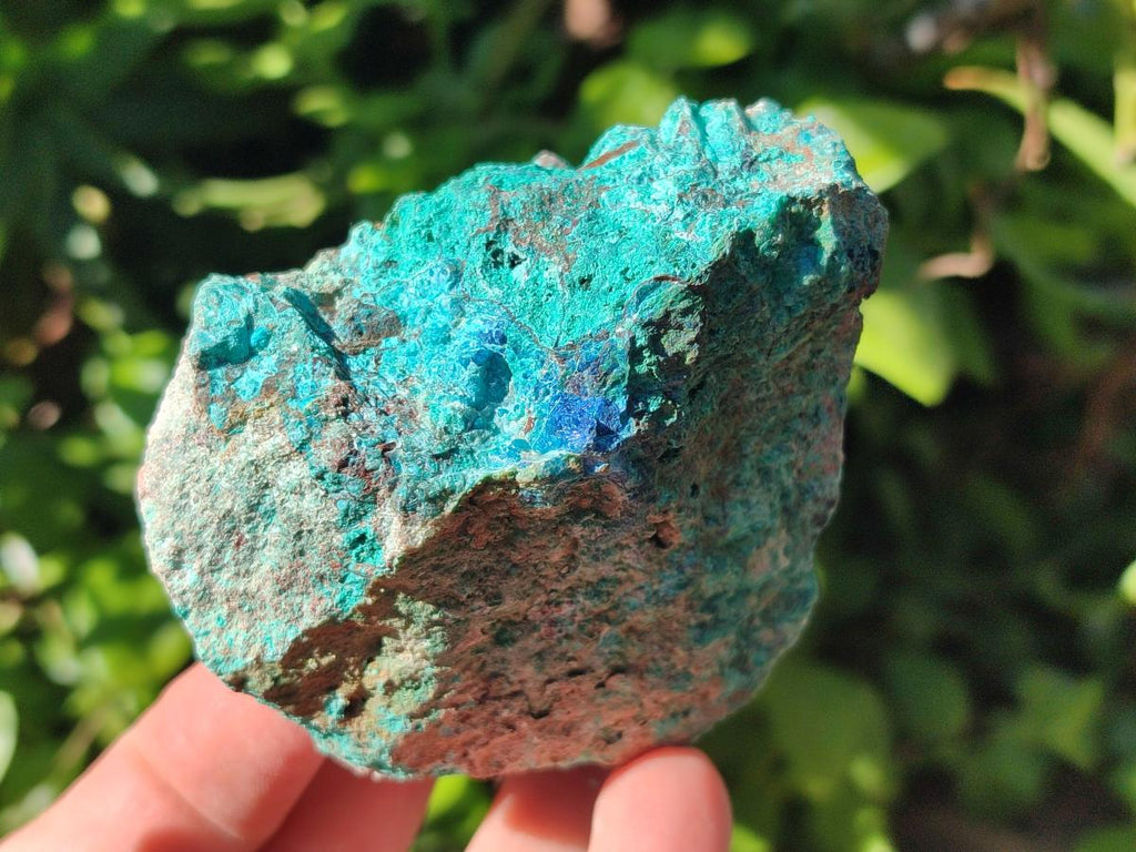 Natural Rough Shattuckite Specimen with Associated Minerals x 6 From Kaokoveld, Namibia