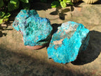 Natural Rough Shattuckite Specimen with Associated Minerals x 6 From Kaokoveld, Namibia