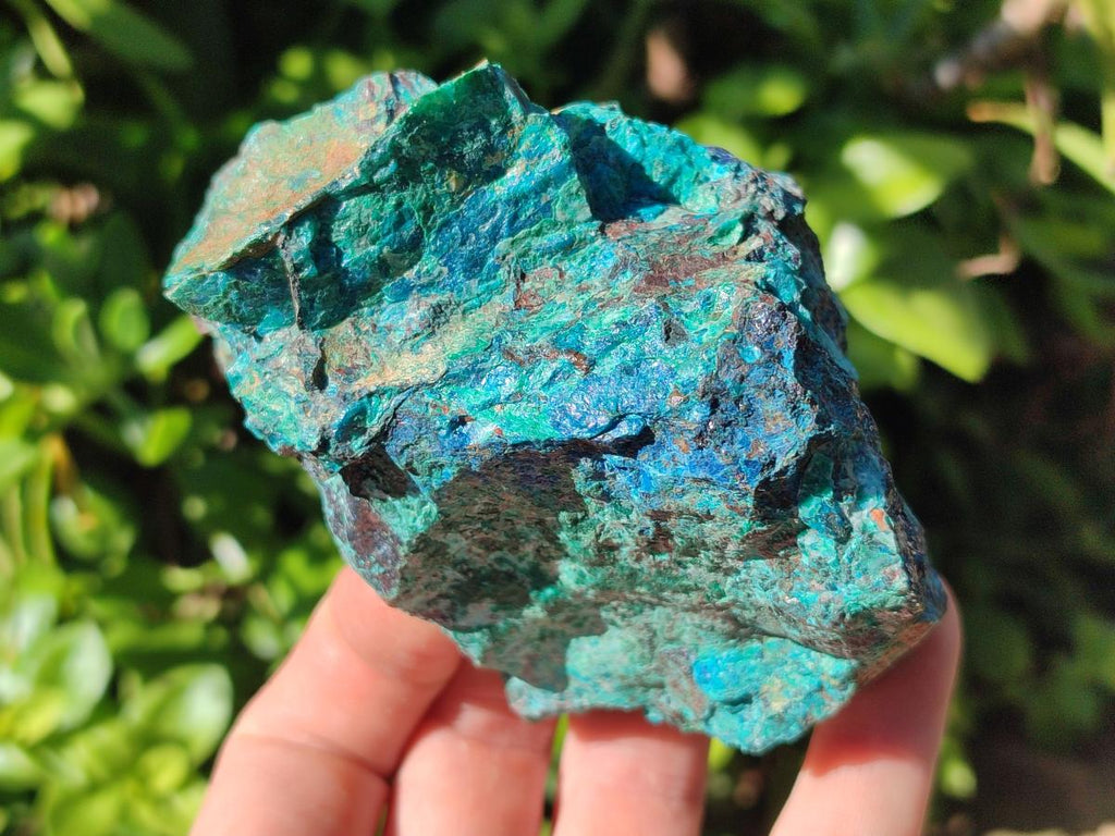 Natural Rough Shattuckite Specimen with Associated Minerals x 6 From Kaokoveld, Namibia