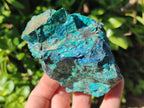 Natural Rough Shattuckite Specimen with Associated Minerals x 6 From Kaokoveld, Namibia