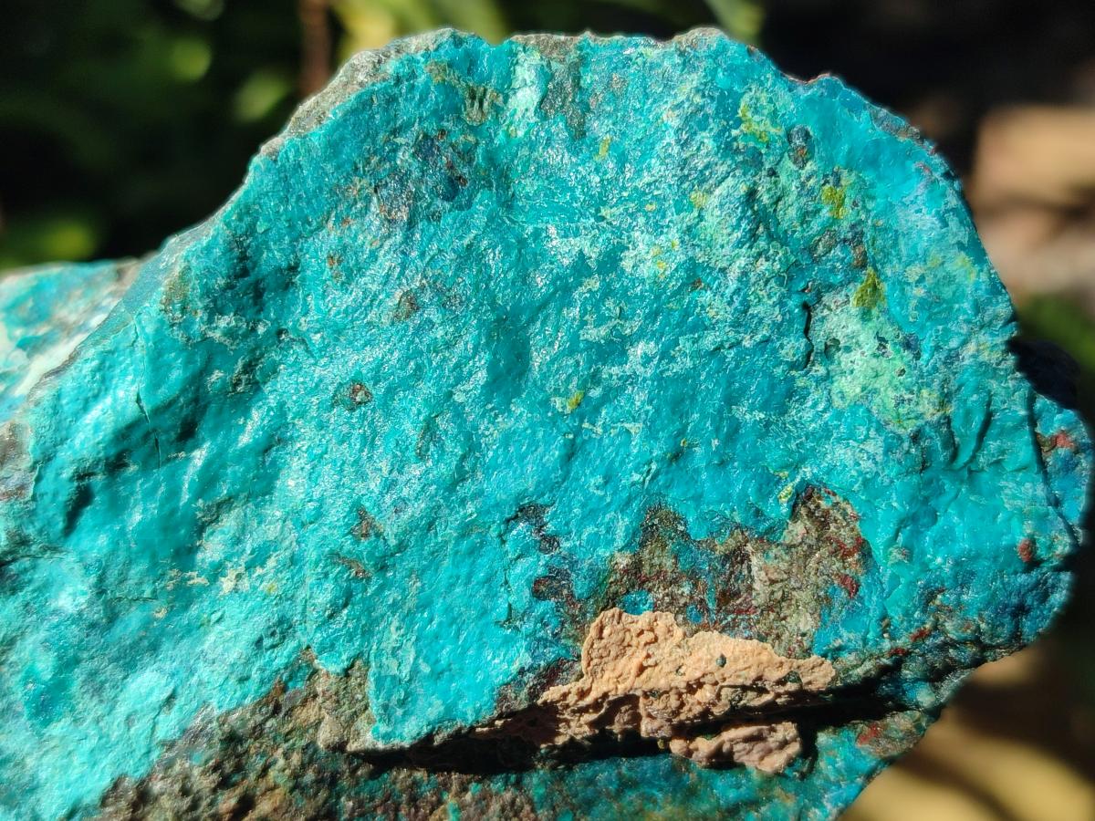 Natural Rough Shattuckite Specimen with Associated Minerals x 6 From Kaokoveld, Namibia