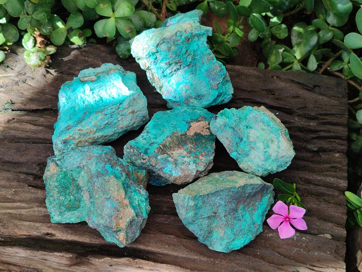 Natural Rough Shattuckite Specimen with Associated Minerals x 6 From Kaokoveld, Namibia