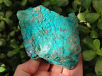 Natural Rough Shattuckite Specimen with Associated Minerals x 6 From Kaokoveld, Namibia
