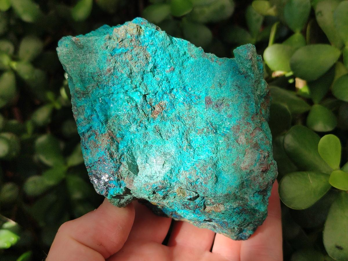 Natural Rough Shattuckite Specimen with Associated Minerals x 6 From Kaokoveld, Namibia