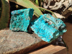 Natural Rough Shattuckite Specimen with Associated Minerals x 6 From Kaokoveld, Namibia