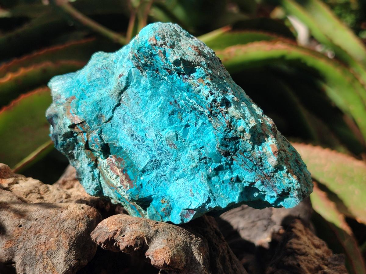Natural Rough Shattuckite Specimen with Associated Minerals x 6 From Kaokoveld, Namibia