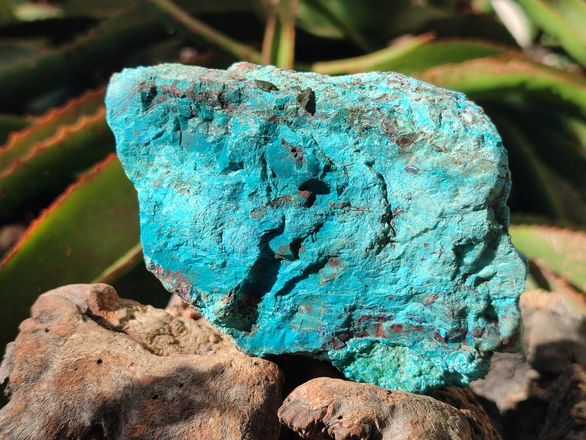 Natural Rough Shattuckite Specimen with Associated Minerals x 6 From Kaokoveld, Namibia