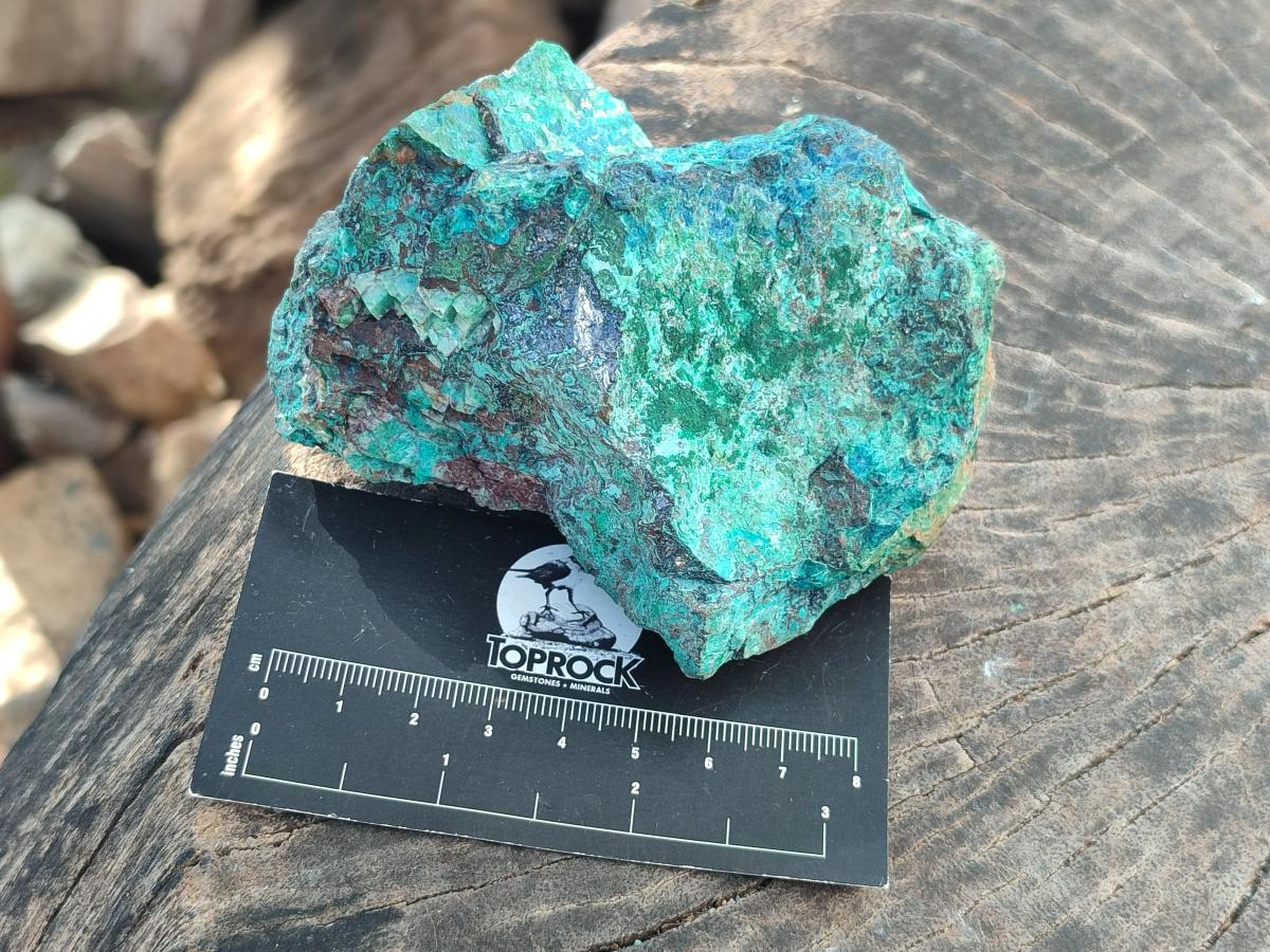 Natural Rough Shattuckite Specimen with Associated Minerals x 6 From Kaokoveld, Namibia