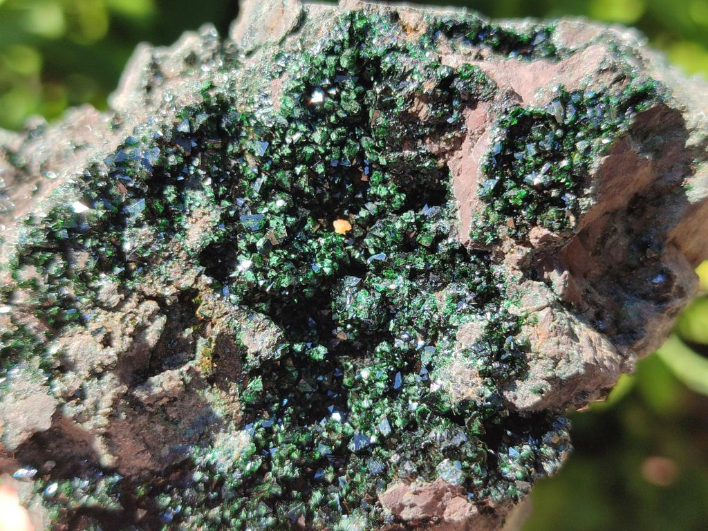 Natural Libethenite Crystals on Dolomite Matrix Specimens x 6 From Shituru, Congo