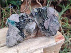 Natural Libethenite Crystals on Dolomite Matrix Specimens x 6 From Shituru, Congo