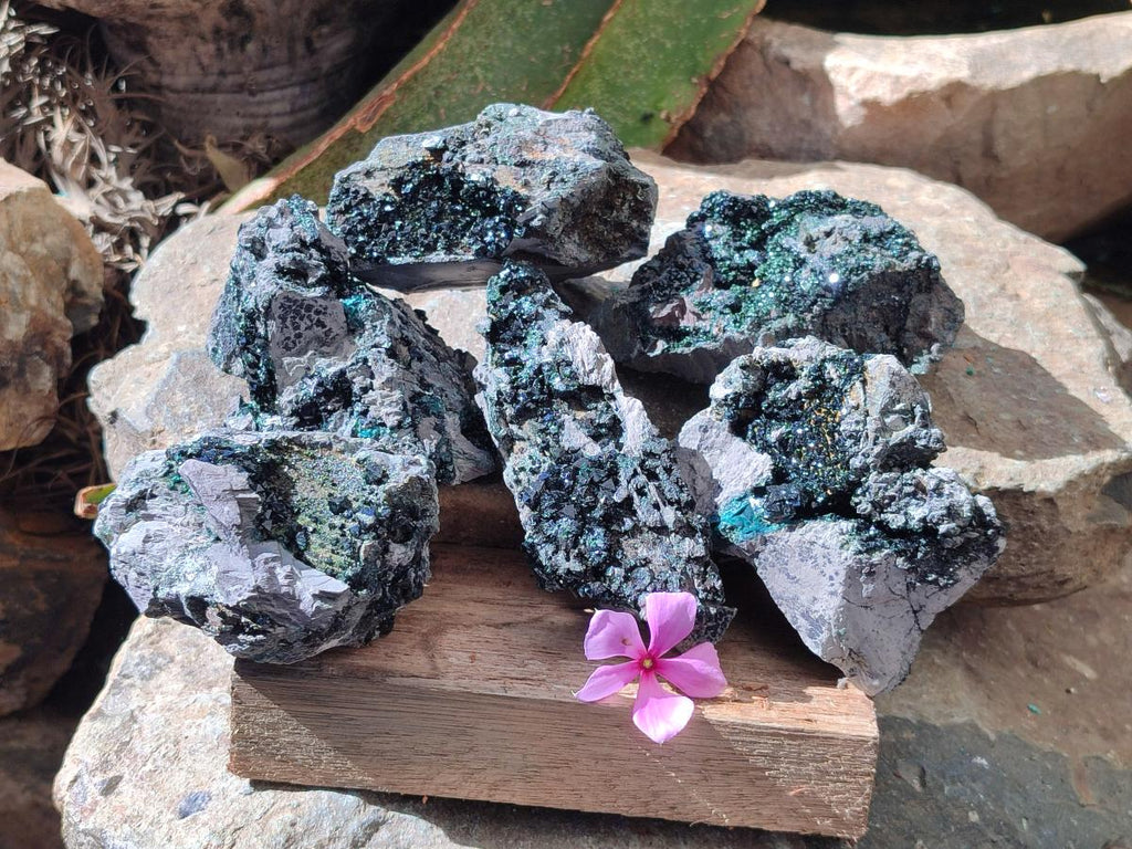 Natural Libethenite Crystals on Dolomite Matrix Specimens x 6 From Shituru, Congo