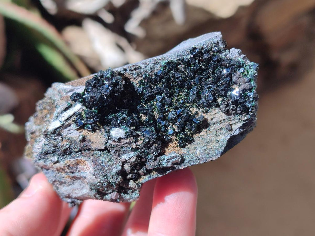 Natural Libethenite Crystals on Dolomite Matrix Specimens x 6 From Shituru, Congo