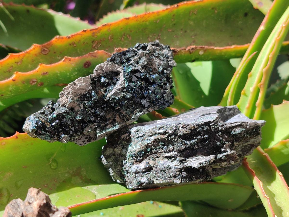 Natural Libethenite Crystals on Dolomite Matrix Specimens x 6 From Shituru, Congo