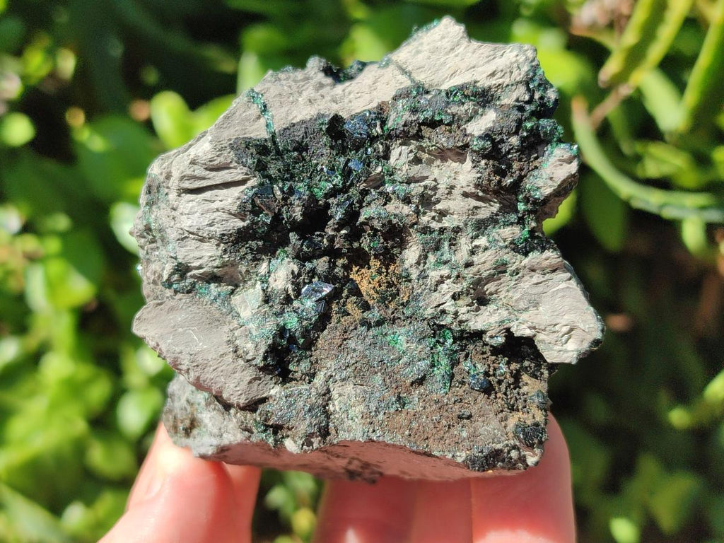 Natural Libethenite Crystals on Dolomite Matrix Specimens x 6 From Shituru, Congo