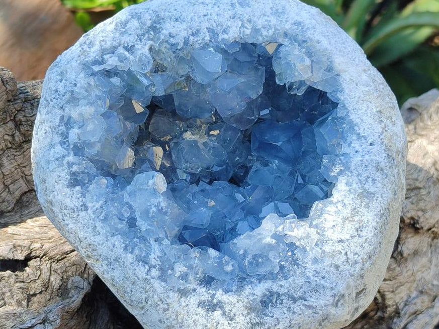 Natural Large Blue Celestite Geode Specimen x 1 From Sakoany, Madagascar