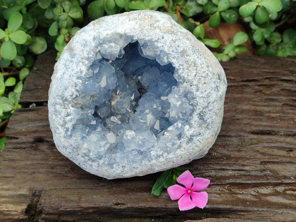 Natural Large Blue Celestite Geode Specimen x 1 From Sakoany, Madagascar