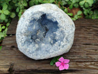 Natural Large Blue Celestite Geode Specimen x 1 From Sakoany, Madagascar