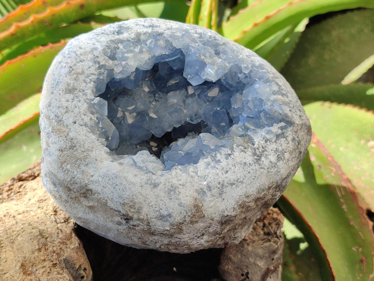 Natural Large Blue Celestite Geode Specimen x 1 From Sakoany, Madagascar