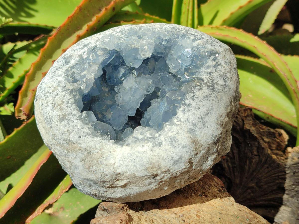 Natural Large Blue Celestite Geode Specimen x 1 From Sakoany, Madagascar