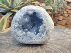 Natural Large Blue Celestite Geode Specimen x 1 From Sakoany, Madagascar