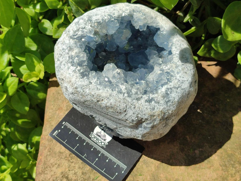 Natural Large Blue Celestite Geode Specimen x 1 From Sakoany, Madagascar