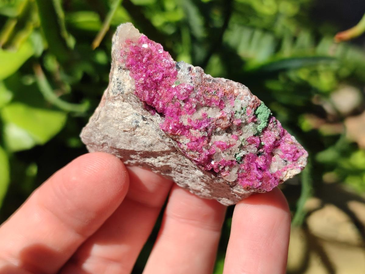 Natural Salrose Cobaltion Dolomite Specimens x 12 From Kakanda, Congo