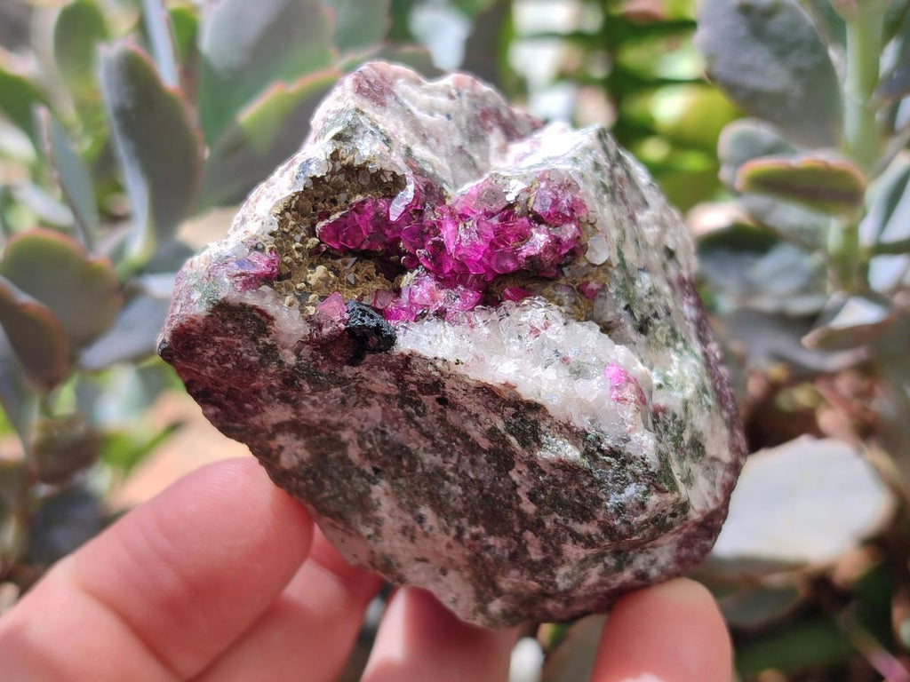 Natural Salrose Cobaltion Dolomite Specimens x 12 From Kakanda, Congo