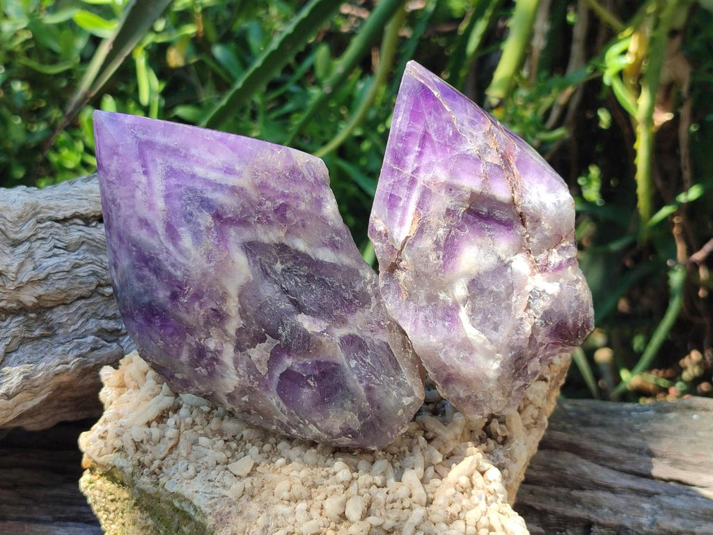 Polished Chevron Amethyst Witches Hat Crystals x 3 From Zambia