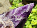 Polished Chevron Amethyst Witches Hat Crystals x 3 From Zambia