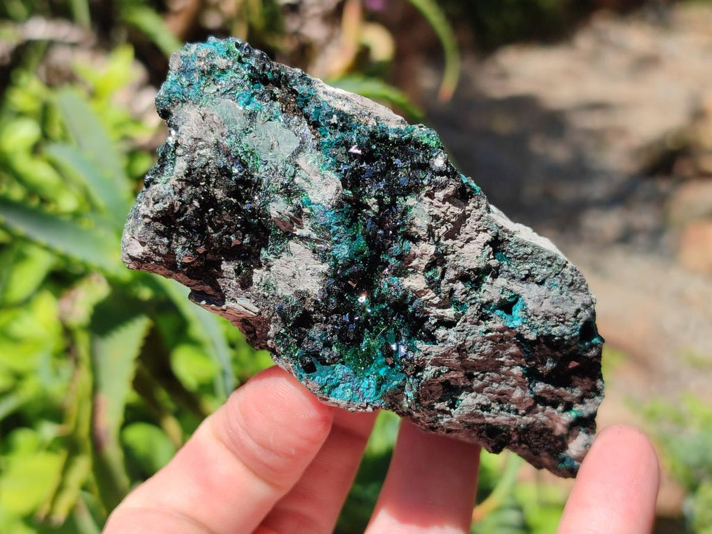 Natural Libethenite Crystals on Dolomite Matrix Specimens x 6 From Shituru, Congo - Toprock Gemstones and Minerals 