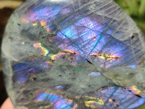 Polished Rare Purple Sunset Flash Labradorite Standing Free Forms x 6 From Madagascar