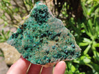 Natural Crystalline Malachite Specimens x 6 From Tenke Fungurume, Congo - Toprock Gemstones and Minerals 